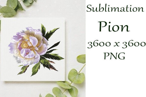 Sublimation Watercolor Peony PNG: A Versatile Design Element for Creative Projects