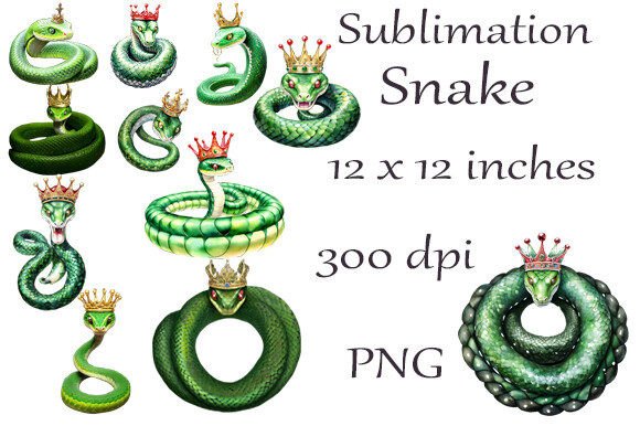 Sublimation Watercolor Snakes PNG3: A Creative Tool for Modern Designers